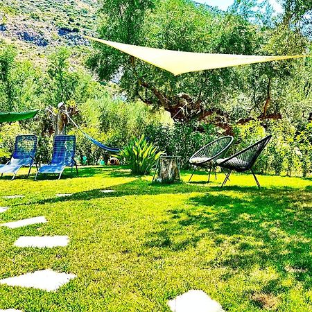 The Secret Garden At Villa Georgia Kalamata Exteriér fotografie